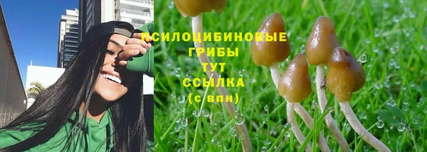 эйфоретик Карталы